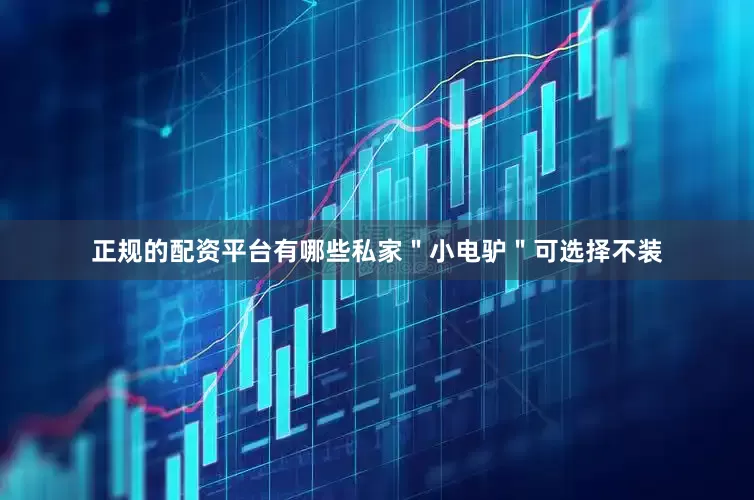 正规的配资平台有哪些私家＂小电驴＂可选择不装