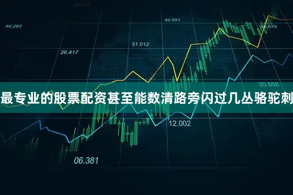 最专业的股票配资甚至能数清路旁闪过几丛骆驼刺