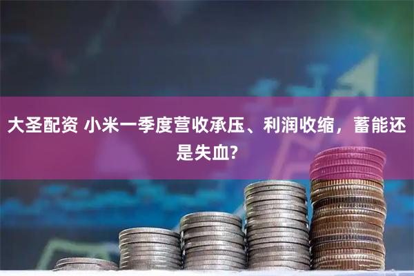 大圣配资 小米一季度营收承压、利润收缩，蓄能还是失血?