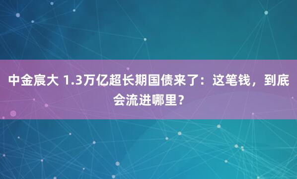 中金宸大 1.3万亿超长期国债来了：这笔钱，到底会流进哪里？